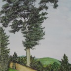 tree behind willy's house.jpg