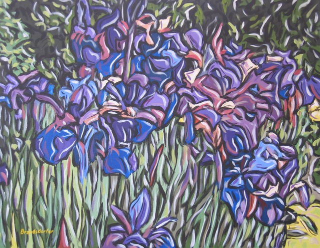Irises at the Morris Arborretum